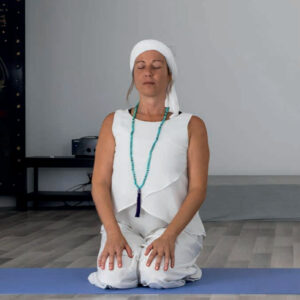 EL PODER DEL SILENCIO EN LA ERA DE LA INFORMACIÓN. CURSO TEÓRICO Y PRÁCTICO DE MEDITACIÓN.