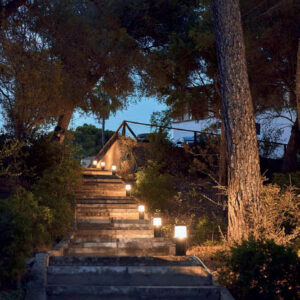 JARDÍN MEDITERRÁNEO: DISEÑO, PLANTACIÓN Y MANTENIMIENTO