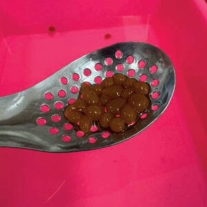 COCINA Y CIENCIA