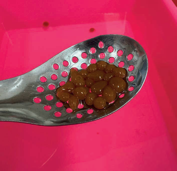 COCINA Y CIENCIA